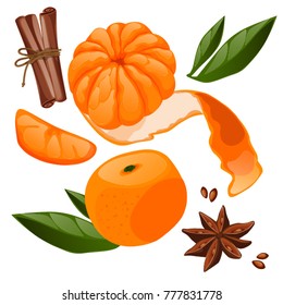 Mandarin. Fruit. Anise. Cinnamon. Vector.
