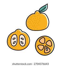 Mandarin fruit illustration with slices vector. Hand-drawn mandarin with whole fruit and slices perfect for food graphics, fresh citrus themes, winter designs, and seasonal vector illustrations.