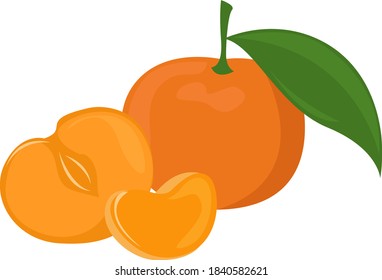Mandarinfrüchte, Illustration, Vektorgrafik auf weißem Hintergrund