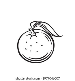 Mandarin fruit outline vector icon, drawing monochrome illustration. Tangerine healthy nutrition, organic food, vegetarian product.