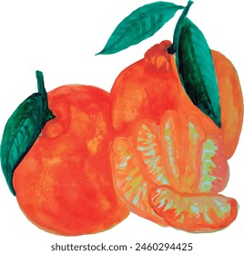 Mandarin fruit, watercolor isolated vector, handmade