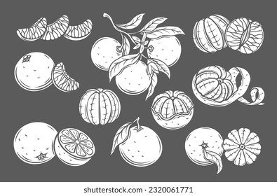 Mandarin glyph icons set vector illustration. White stamps of sweet citrus fruit collection isolated on black, silhouettes of whole tangerine branch with leaf, clementine slice, mandarin cut in half