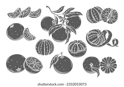 Mandarin glyph icons set vector illustration. Stamps of sweet citrus fruit , silhouettes of whole tangerine branch with leaf, clementine slice, mandarin cut in half