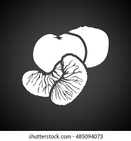 Mandarin icon. Black background with white. Vector illustration.