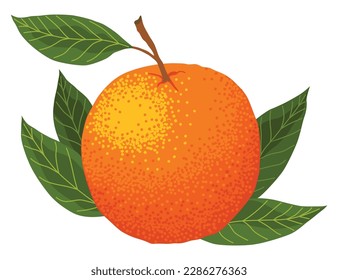 Mandarin icon. Cartoon isolated sweet citrus fruit. Fresh tropical tangerine. Organic vector illustration. Whole orange