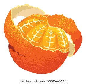 Mandarin icon. Cartoon isolated sweet citrus fruit. Fresh tropical tangerine. Organic vector illustration. Orange segments