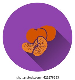 Mandarin icon. Flat design. Vector illustration.