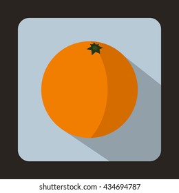 Mandarin icon in flat style on a light