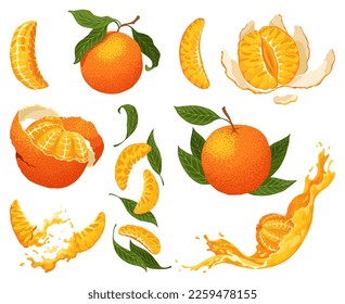 Mandarin icon set. Cartoon isolated sweet citrus fruit. Fresh tropical tangerine. Organic vector illustration. Whole, orange twist peel, clementine with leaves. Unpeeled and skinless with segments