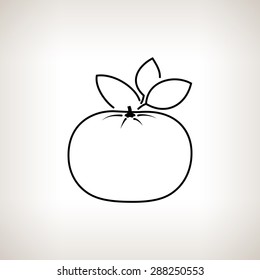 Mandarin  ,Image Tangerine on a Light Background, Line Style, Black and White Vector Illustration
