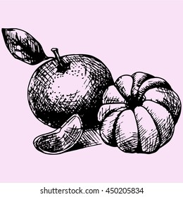 mandarin with leaves slice doodle style sketch illustration hand drawn vector 
