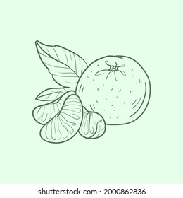 Mandarin Line vector illustration. Detailed Food icon for mobile concept, print, menu, and web apps. For for restaurant, bar, vegan, healthy and organic food, market, farmers market.