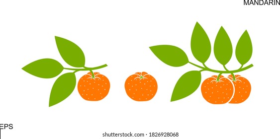 Logo de Mandarin. Mandarina aislada sobre fondo blanco