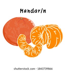 Mandarín con nombre aislado en fondo blanco, ilustración vectorial