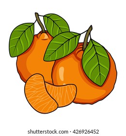 Mandarin on a white background. Composition of mandarins