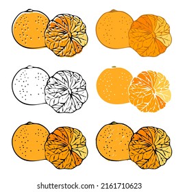 Mandarin on white background. Natural organic nutrition. Healthy organic vegan food. Vector drawing.