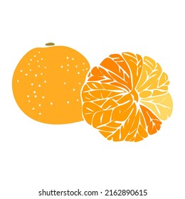Mandarin on white background. Natural organic nutrition. Healthy organic vegan food. Vector drawing.