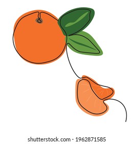 Mandarin. One line vector image. Ready-made solution for poster, summer and winter menu design, kitchen interior.