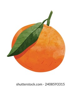 mandarin orange fruit Design elements. watercolour style vector illustration.