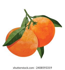 mandarin orange fruit Design elements. watercolour style vector illustration.