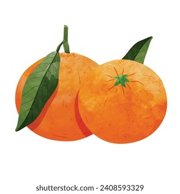 mandarin orange fruit Design elements. watercolour style vector illustration.