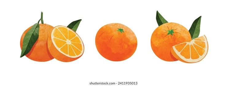 mandarin orange fruit Design elements. watercolour style vector illustration.