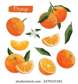 Mandarine Orange Obst Design-Elemente Set. Aquarell Stil Vektorillustration.