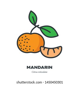 Mandarin Orange Fruit Icon, Outline With Color Fill Style Vector Illustration, Whole Fruit With Leaves And Segment