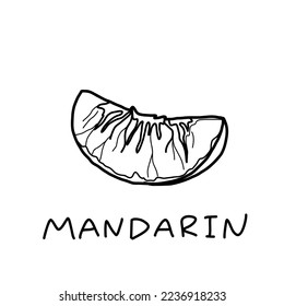 Icono de fruta naranja mandarín, contorno. tangerina al estilo doodle.