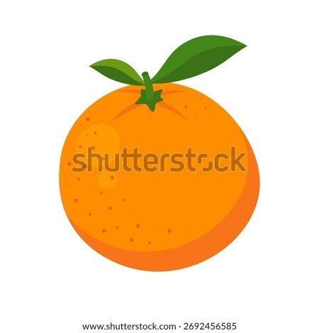 Mandarin orange fruit isolated on white background. Fresh citrus vector illustration. Festive fruit symbol for Christmas and New Year.