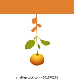Mandarin orange label. Drawing of a ripe tangerine with leaves. Web design