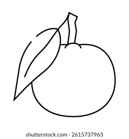 mandarin orange line icon vector. mandarin orange sign. isolated contour symbol black illustration