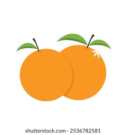 Laranja mandarim no vetor de fundo branco - ilustração. Ano Novo chinês Mandarim Laranja.