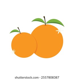 Mandarin orange on white background vector - illustration. Chinese New Year Mandarin Orange.