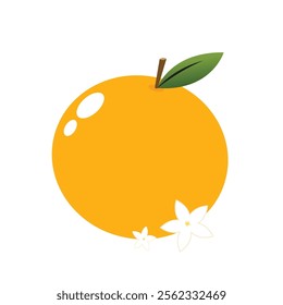 Mandarin orange on white background vector - illustration. Chinese New Year Mandarin Orange.