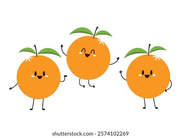 Mandarin orange on white background vector - illustration. Chinese New Year Mandarin Orange.