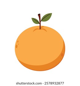 Mandarin orange on white background vector - illustration. Chinese New Year Mandarin Orange.