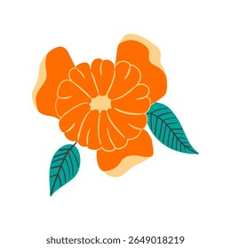Mandarin or orange with open slices and leaves on white isolated background. Citrus fruit in hand draw style