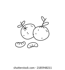 Mandarin orange outline icon. Fruit, citrus, healthy nutrition, organic food. Hand drawn line vector illustration.