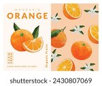 Mandarin orange packaging design templates, watercolour style vector illustration.