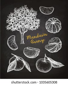 Mandarin orange set. Chalk sketch on blackboard background. Hand drawn vector illustration. Retro style.