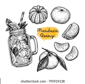 Mandarin orange set. Ink sketch isolated on white background. Hand drawn vector illustration. Retro style.