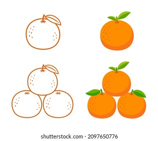 mandarin orange tangerine fruit set vector isolated