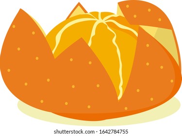 Mandarin orange vector illustration . 