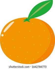 Mandarin orange vector illustration . 