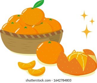 Mandarin orange vector illustration . 