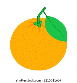 Mandarin. Organic fruit  isolated on white background. Healthy lifestyle. Vector illustration in flat style.