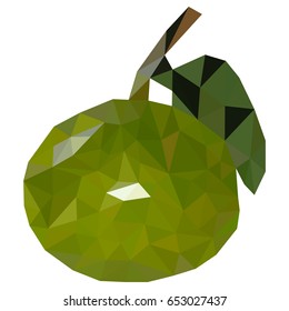 Mandarin, polygons Vector illustration of. Triangulation