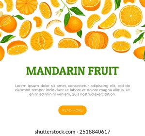 Design de banner de fruta madura mandarim com modelo de vetor de planta exótica