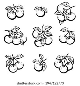 Mandarinensatz. Kollektionssymbole Mandarin. Vektorgrafik